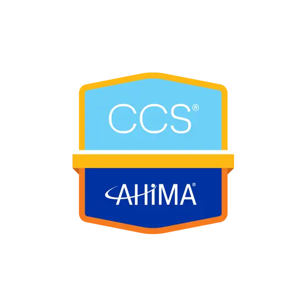 CSS